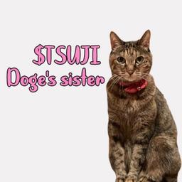 Tsutsuji | Doge's sister logo