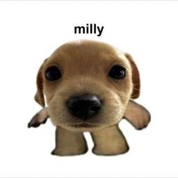 Mini Billy logo