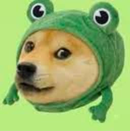 FROGE token logo