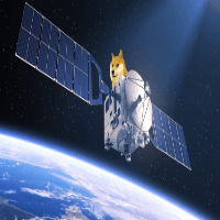 DOGE SATELITTE INU logo