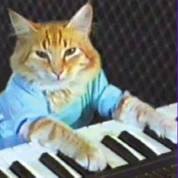 Keyboard Cat logo