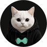 Hypercat token logo