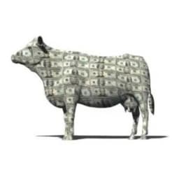 CASHCOW token logo