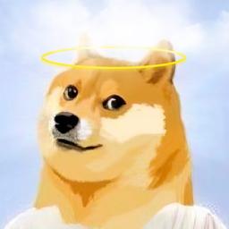 FOREVER DOGE