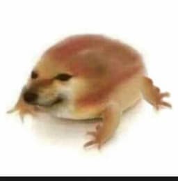 我的刀盾 token logo