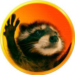 Pedro the Raccoon logo