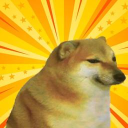 Doge Cheems logo