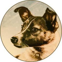 Laika Coin logo