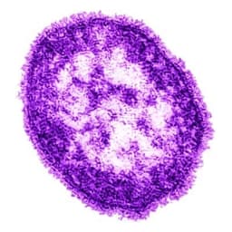 MeaslesVirus token logo