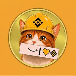 BNBCat token logo