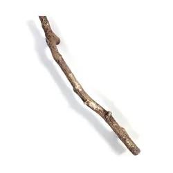 Twig Token