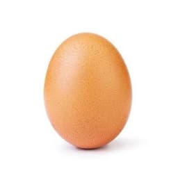 EGG token logo