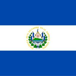 Republic of El Salvador Meme logo