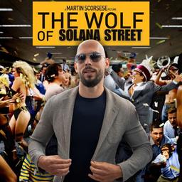 Wolf Of Solana Street logo