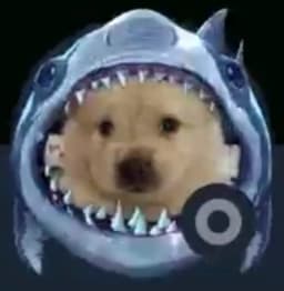 sharkdog token logo