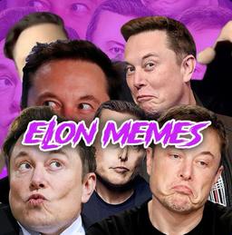 Elon Memes logo