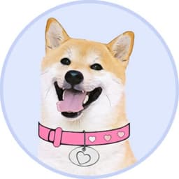 DOGEGF token logo