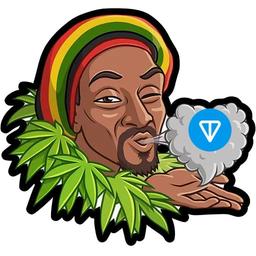 Snoop Ton logo