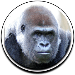 Harambe's Partner logo