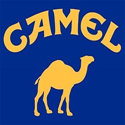 CAMEL  logo