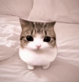 Meowpin token logo