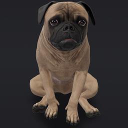 Mudpug logo